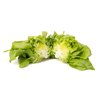 CECILIA RZ product photo view-2 S