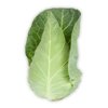 TOURIMA RZ F1 product photo front S