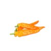 PALERMO OLAV RZ F1 product photo front S
