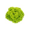 TERAMO RZ product photo front S