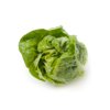 TUDELA RZ product photo front S