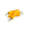 PALERMO YOSEMITE RZ F1 product photo front S