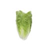 CAICEDO RZ (41-CO2151) Knox™ product photo front S