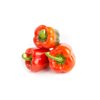 KATELA RZ F1 (35-179) product photo view-3 S