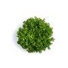 MERCURIAL RZ (11-FR2109) product photo front S