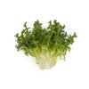 SINTINAL RZ (11-FR1906) product photo view-3 S