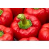 RED JET RZ F1 product photo view-3 S