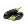 KENATY RZ F1  product photo front S