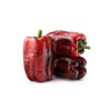 ESCOTA RZ product photo view-3 S
