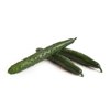 玛香蒂(24-921)Marshyangdi product photo view-2 S