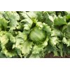 45-474 RZ (FINLANDIA RZ) product photo front S