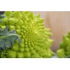 PUNTOVERDE RZ product photo view-4 S