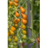 OPERINO RZ F1 product photo view-4 S