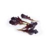 BLOOMQUIST RZ product photo view-2 S