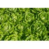 ABELLINA RZ product photo view-4 S