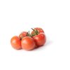 SIRANZO RZ F1 (72-754) product photo front S