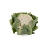 CASSARD RZ F1 product photo view-3 S