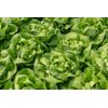 MYLES RZ (42-BU4880) product photo view-3 S