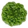 HILBERT RZ product photo front S