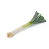 RADIATUS RZ F1 product photo view-3 S