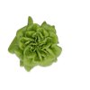 PLENTORIA RZ product photo front S