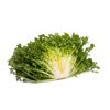 SINTINAL RZ (11-FR1906) product photo view-2 S