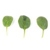 RATEL RZ F1 product photo front S