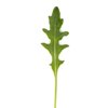DIOMEDES RZ  product photo view-2 S