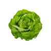 ELICIO RZ (43-BU7206) product photo front S