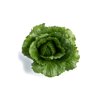 GABITA RZ product photo view-4 S