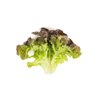 BALAKAI RZ (83-OA5181) product photo view-4 S