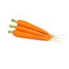 JERADA RZ F1  product photo view-2 S