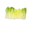 ZARATE RZ (41-CO1734) Knox™ product photo front S