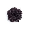NANEDI RZ product photo front S