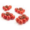 TOMICIA RZ F1 product photo view-2 S