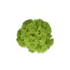 LAMARRE RZ product photo front S