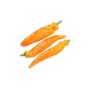 올라프 PALERMO OLAV RZ F1 Sweet Palermo® product photo view-2 S