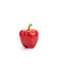 비날레스 VINALES RZ F1 product photo view-3 S