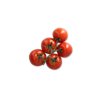 MONDICIA F1 (72-IM6752) Produktbild front S