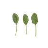 SKIPJACK RZ F1 product photo view-4 S