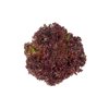 SAMANTINE RZ product photo view-2 S