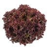 CARNELIAN RZ product photo front S