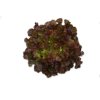 SUPRADAI RZ (82-OA3465) Knox™ product photo front S