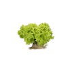 86-LE2027 RZ  product photo view-2 S