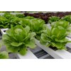 AQUARITA RZ product photo view-4 S
