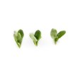 PARAKEET RZ F1 (51-715) product photo view-3 S