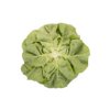 GAMBETTA RZ product photo view-4 S
