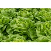 EVADNE - EDWIGE RZ product photo front S