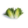 ZIKITA RZ (41-CR2239) product photo front S