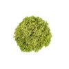 VICINITY RZ (79-82) product photo front S